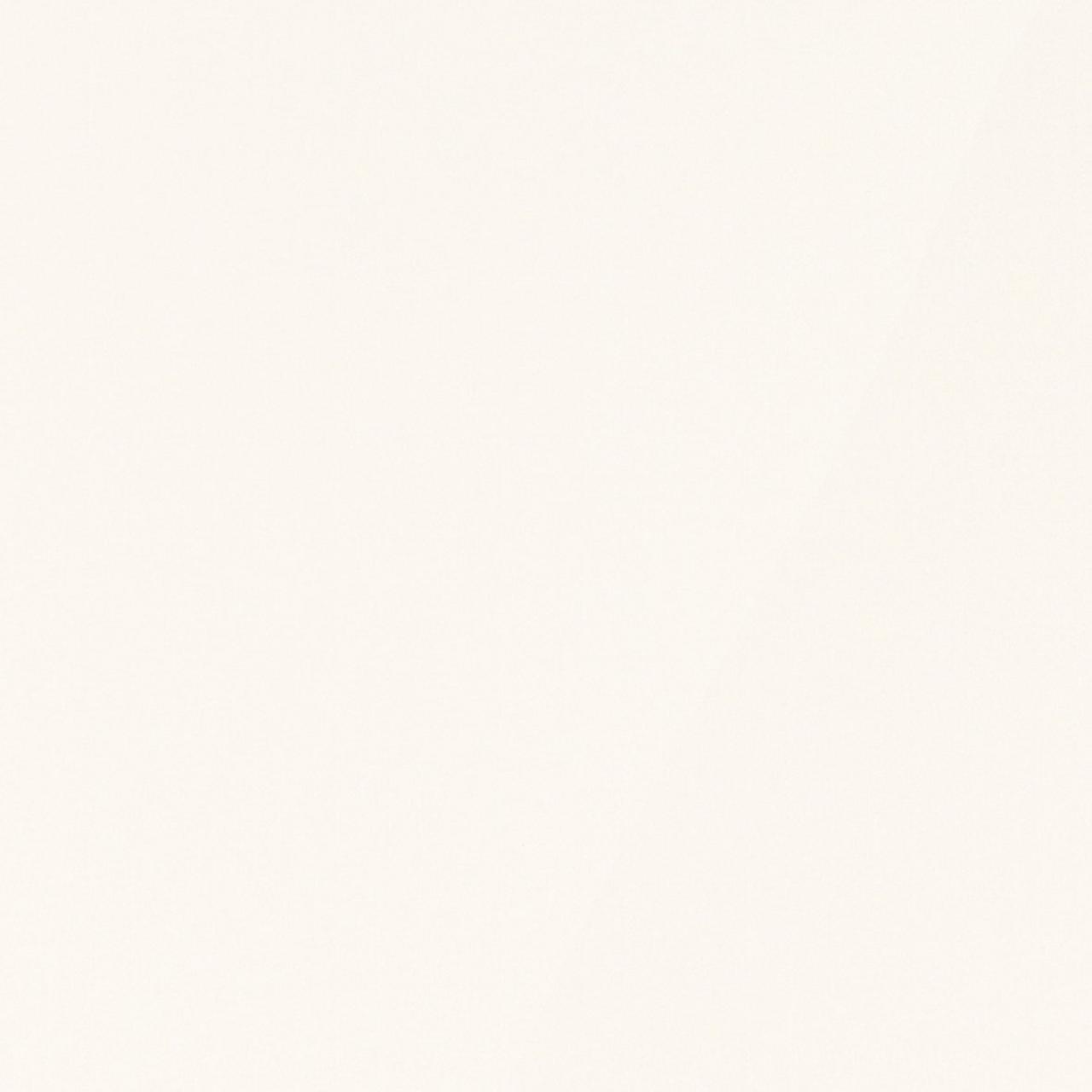 White RAL 9016