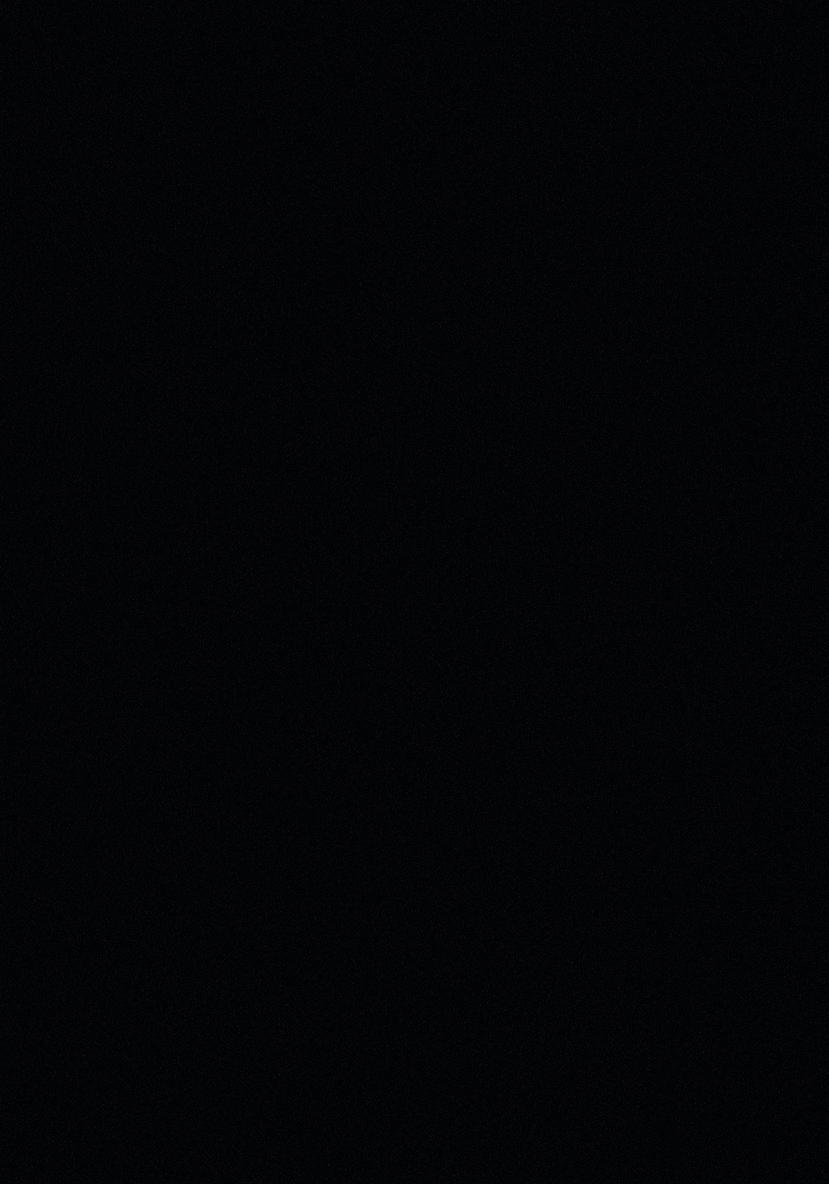Black RAL 9004