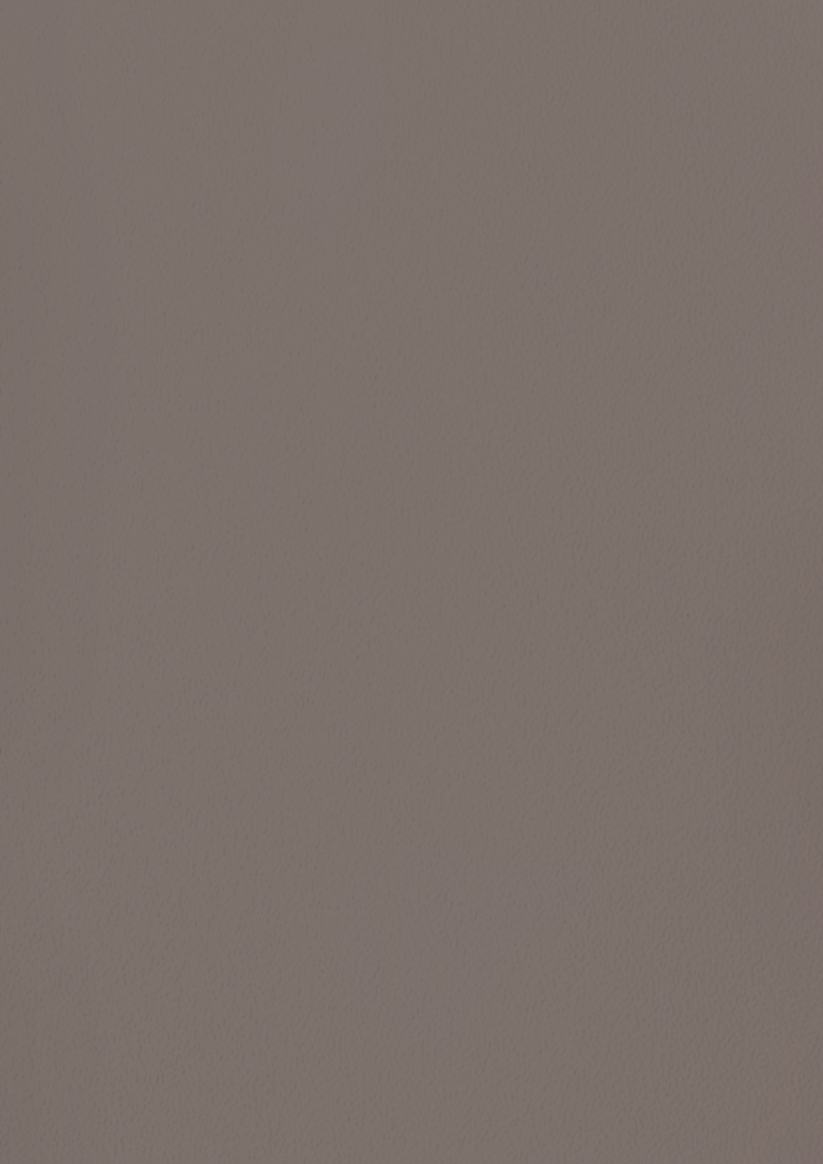 Adobe Grey