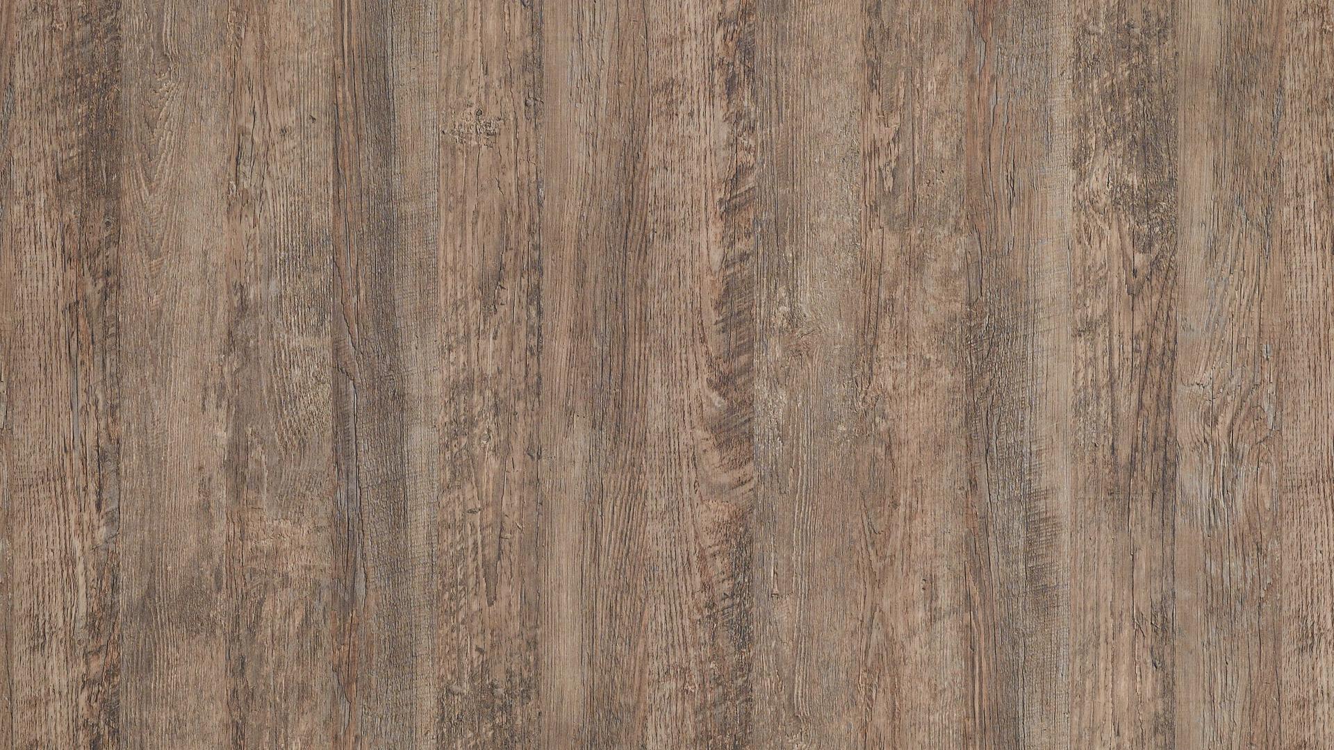 Laramie Pine