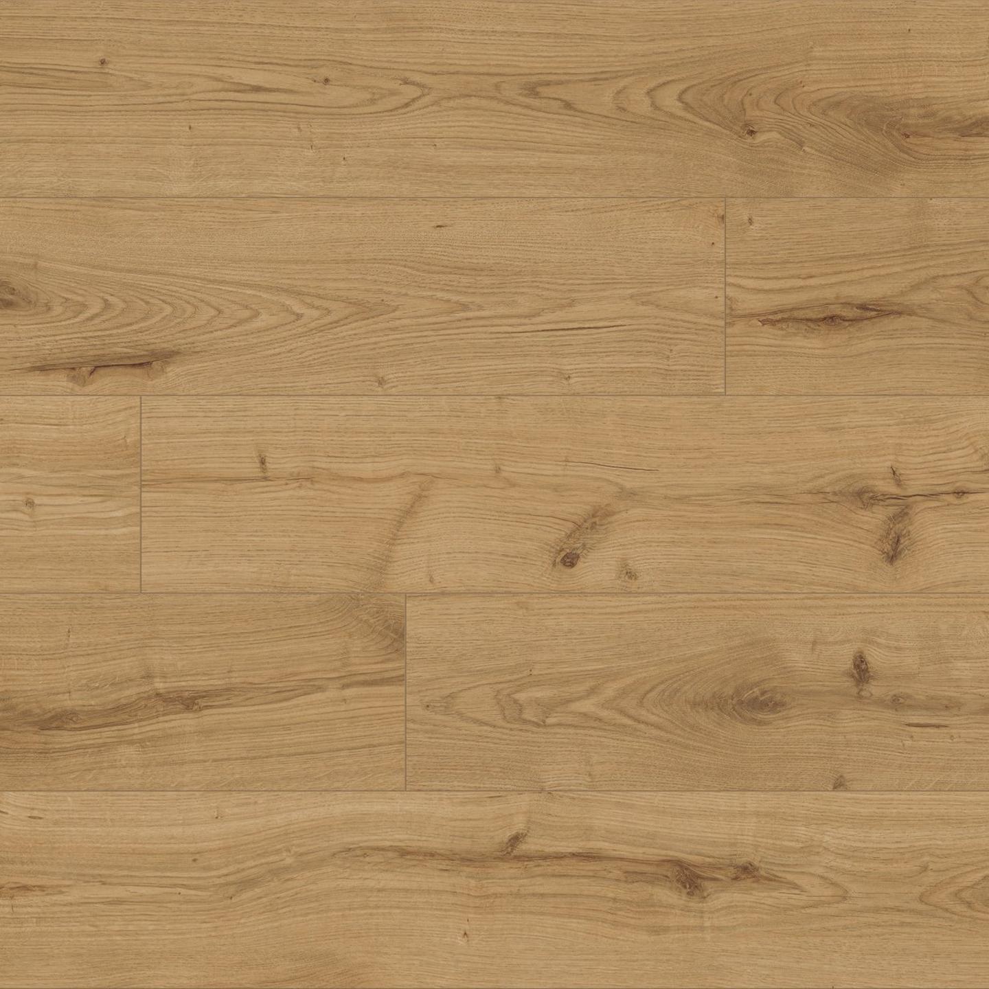 Oak Severina