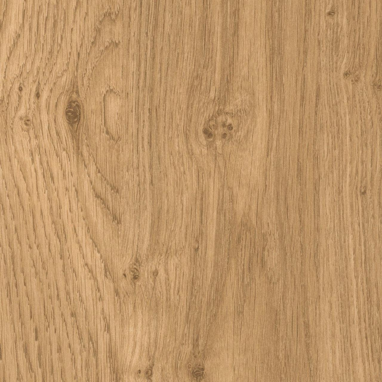 Oak Wild