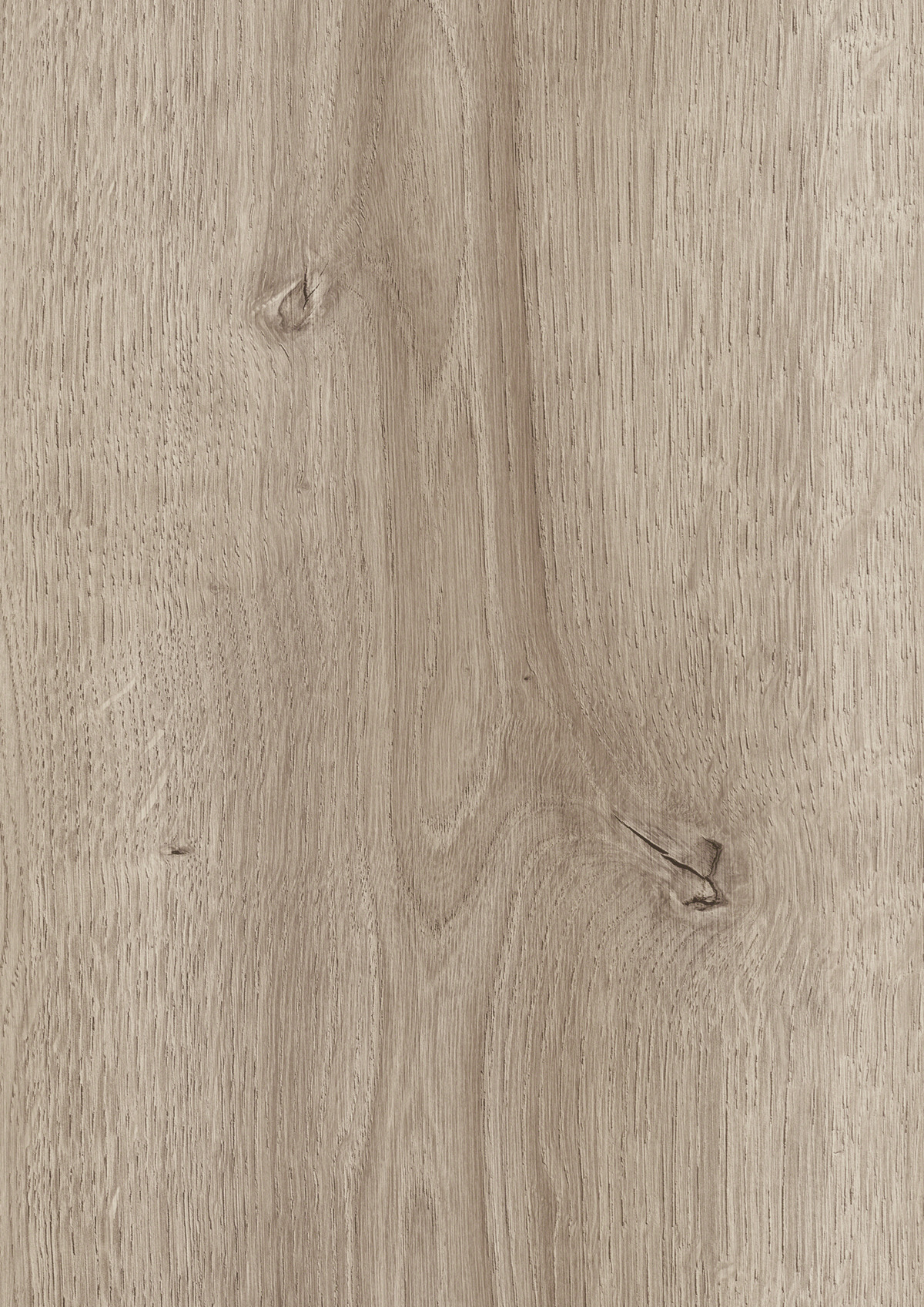Oak Cordoba Moderno