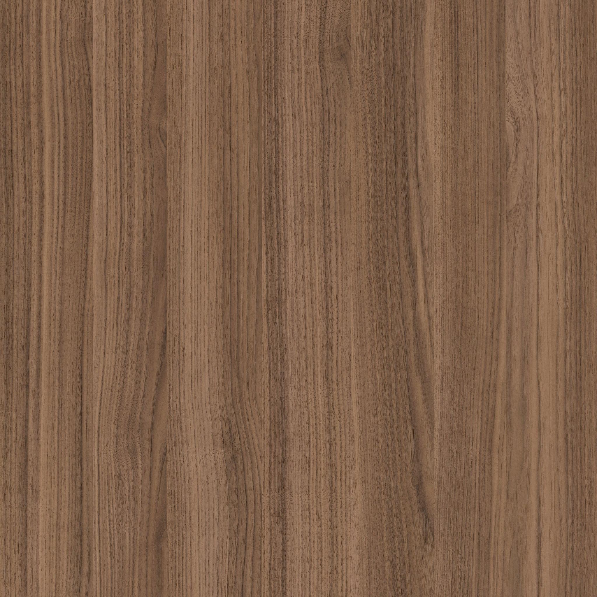 Walnut Umbra