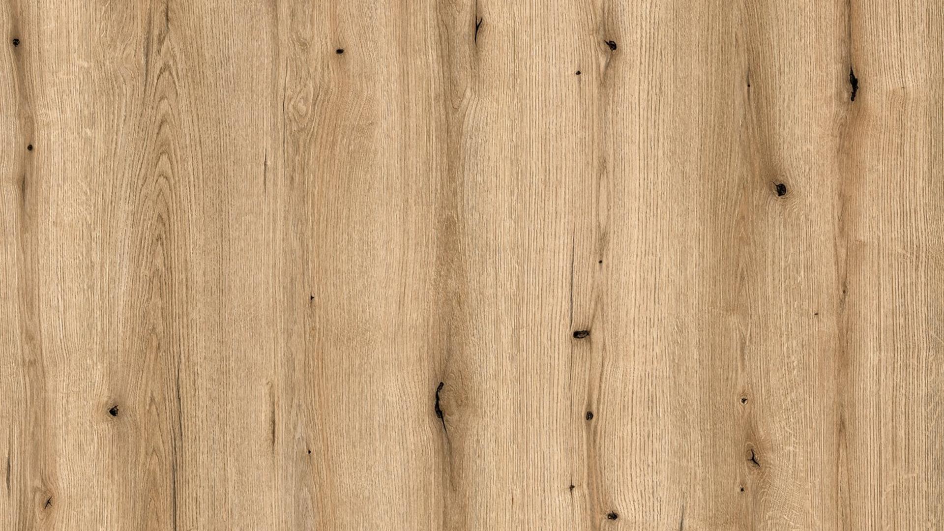 Coast Evoke Oak