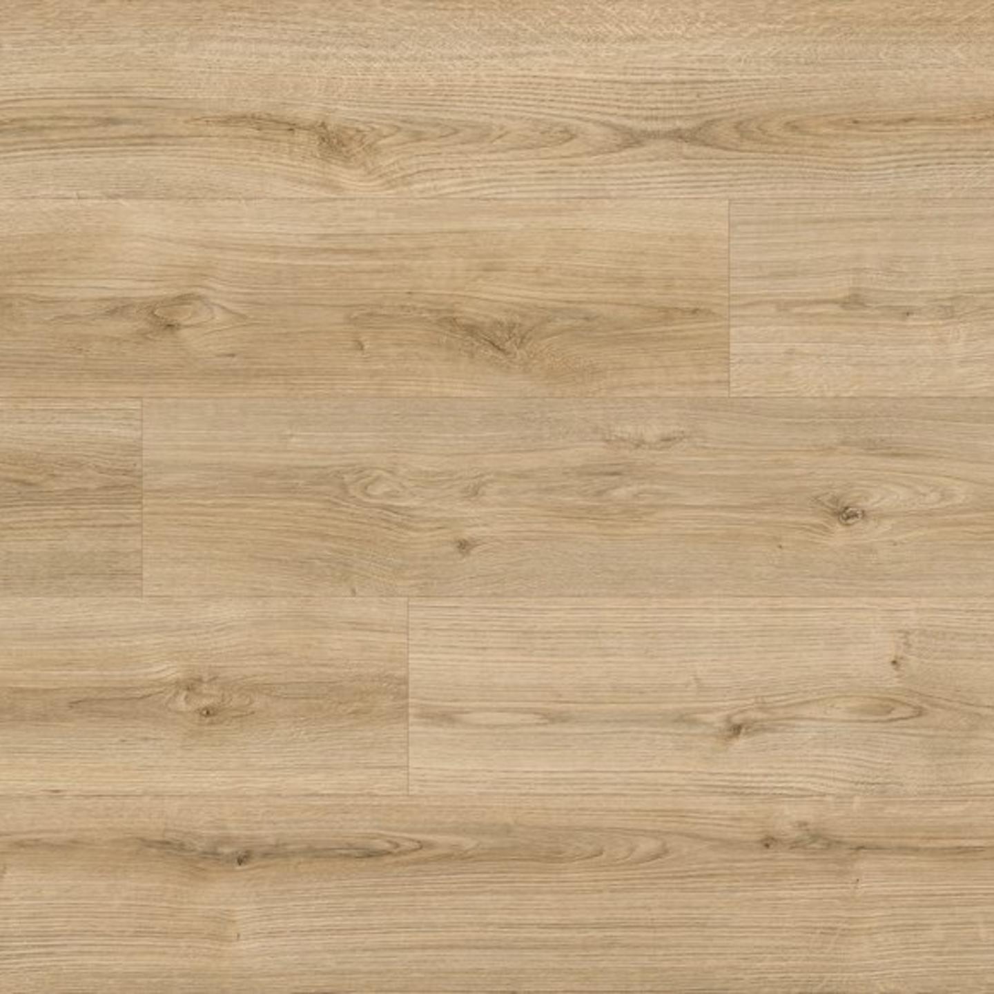 Oak Evoke Classic