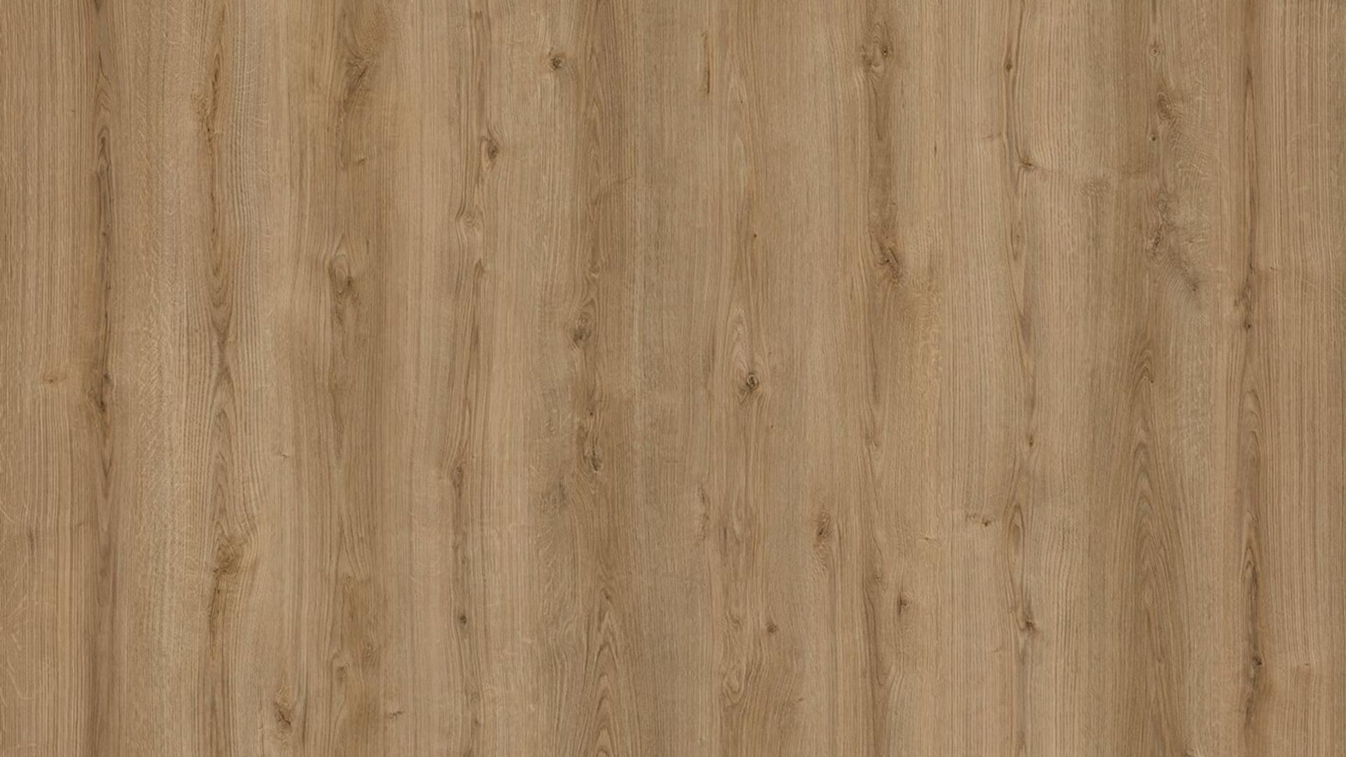 Oak Evoke Trend