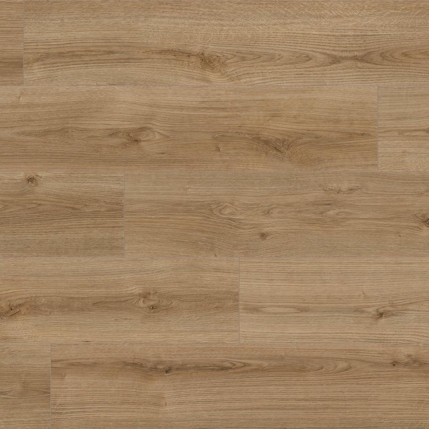 Oak Evoke Trend