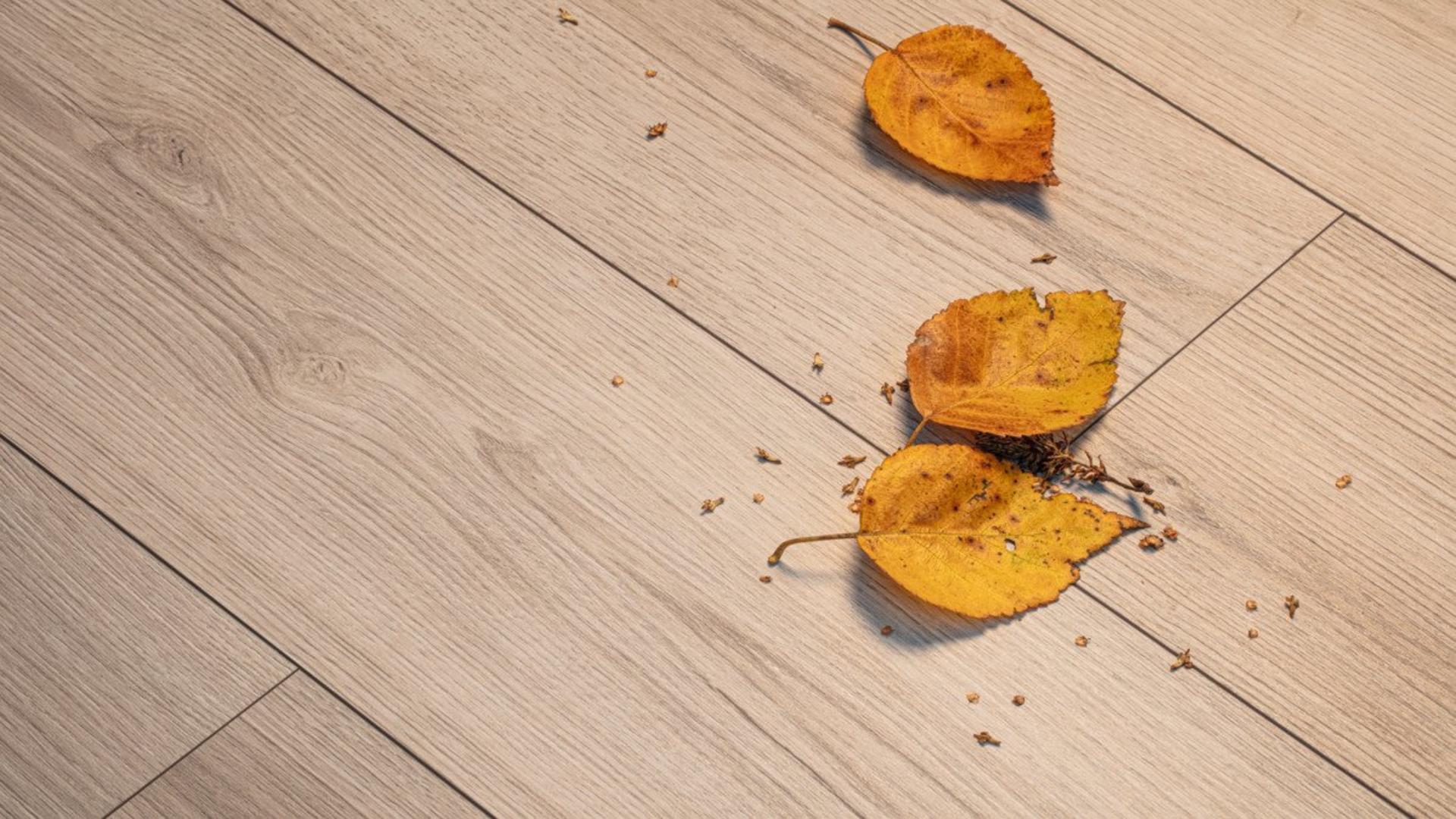 Oak Evoke Sandolo