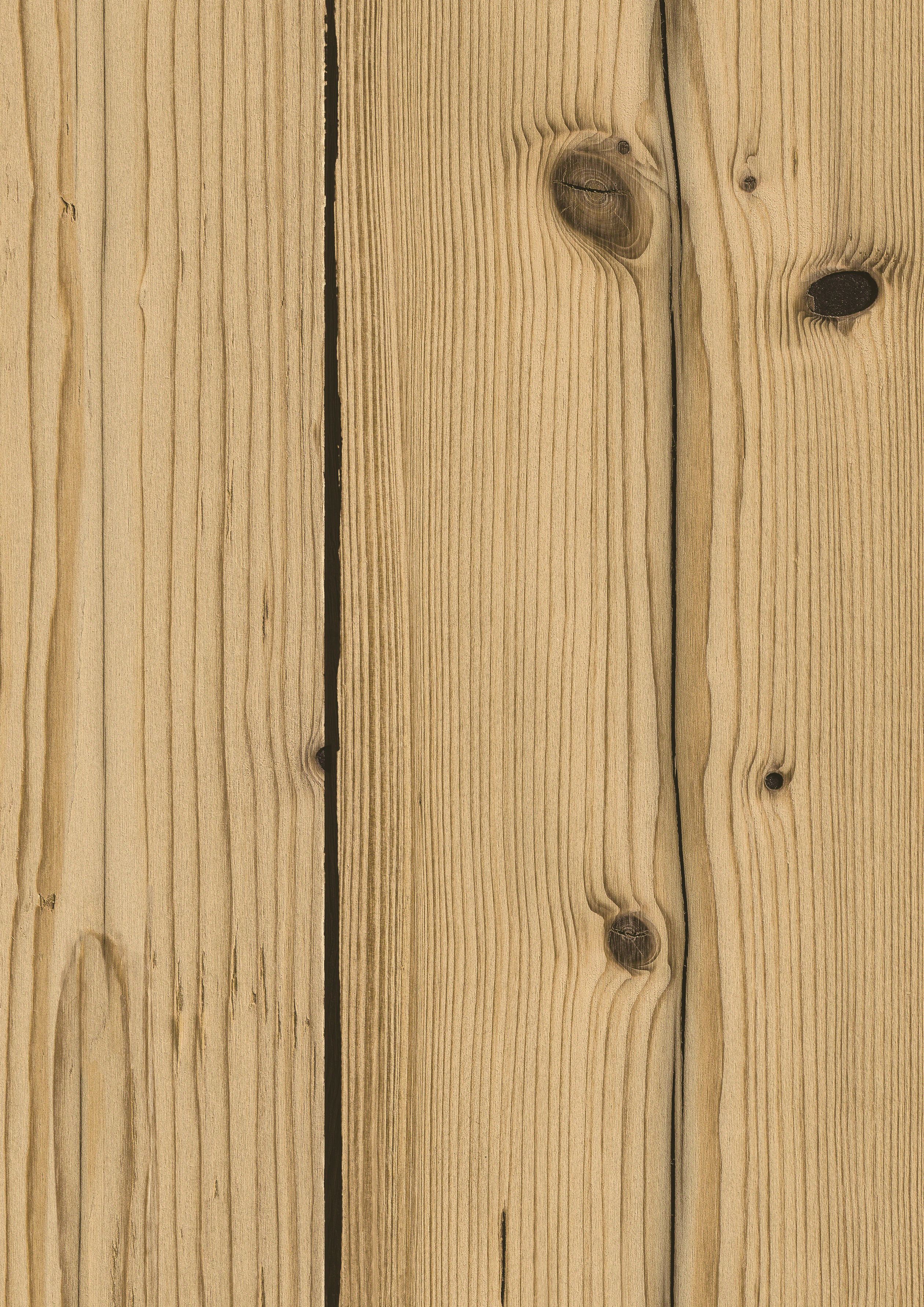 Spruce Antique Expressive