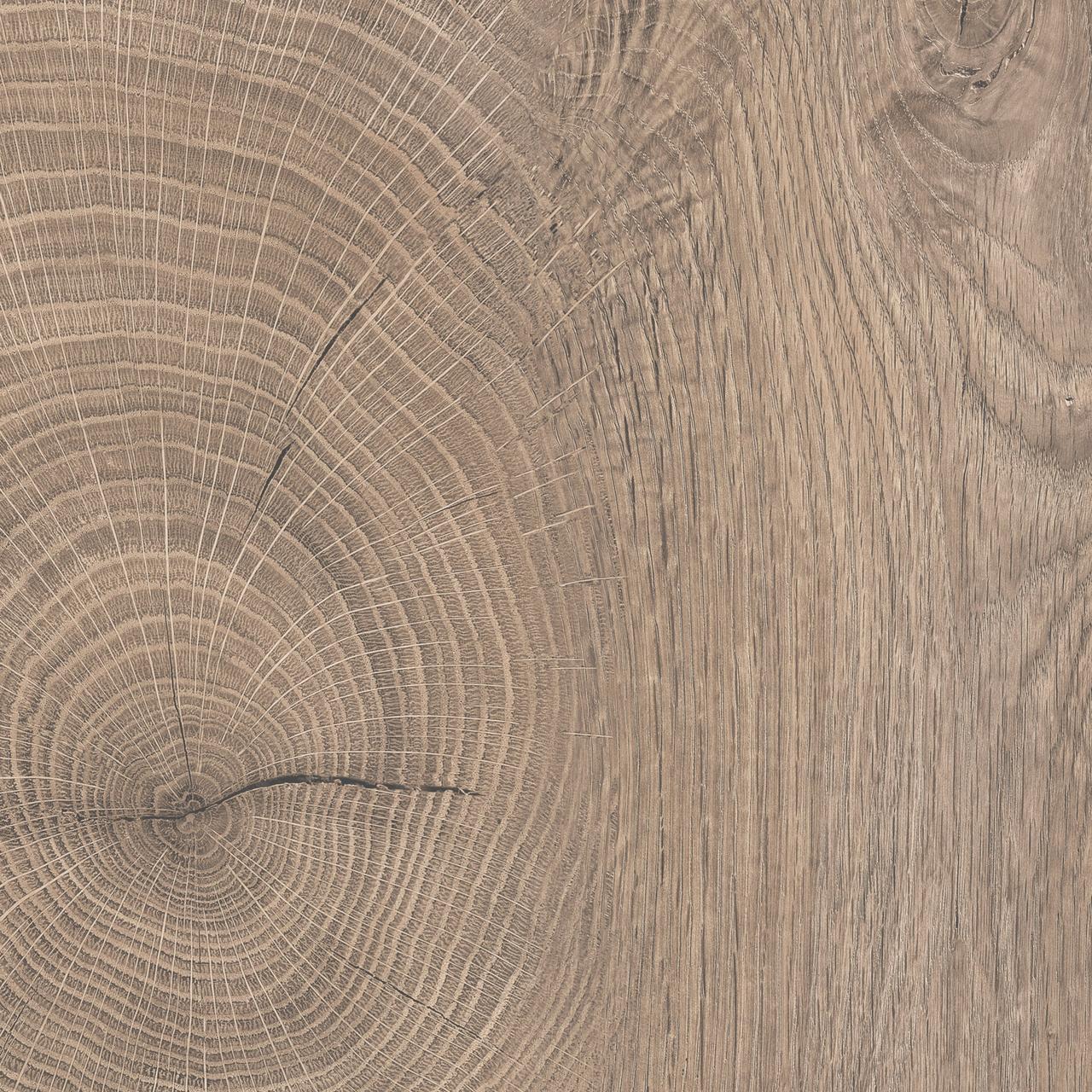 Oak ENDgrain Raw