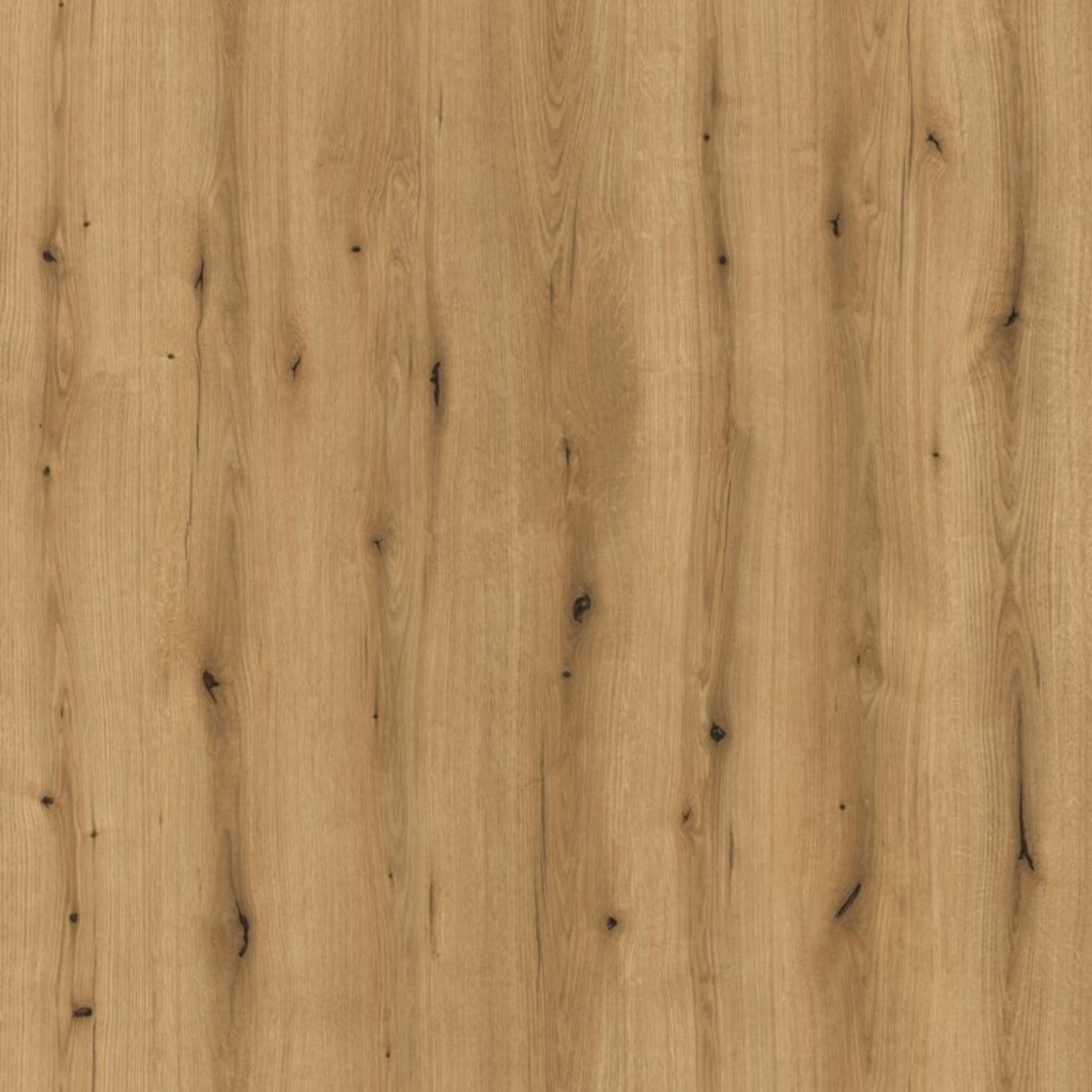 Oak Evoke Coast