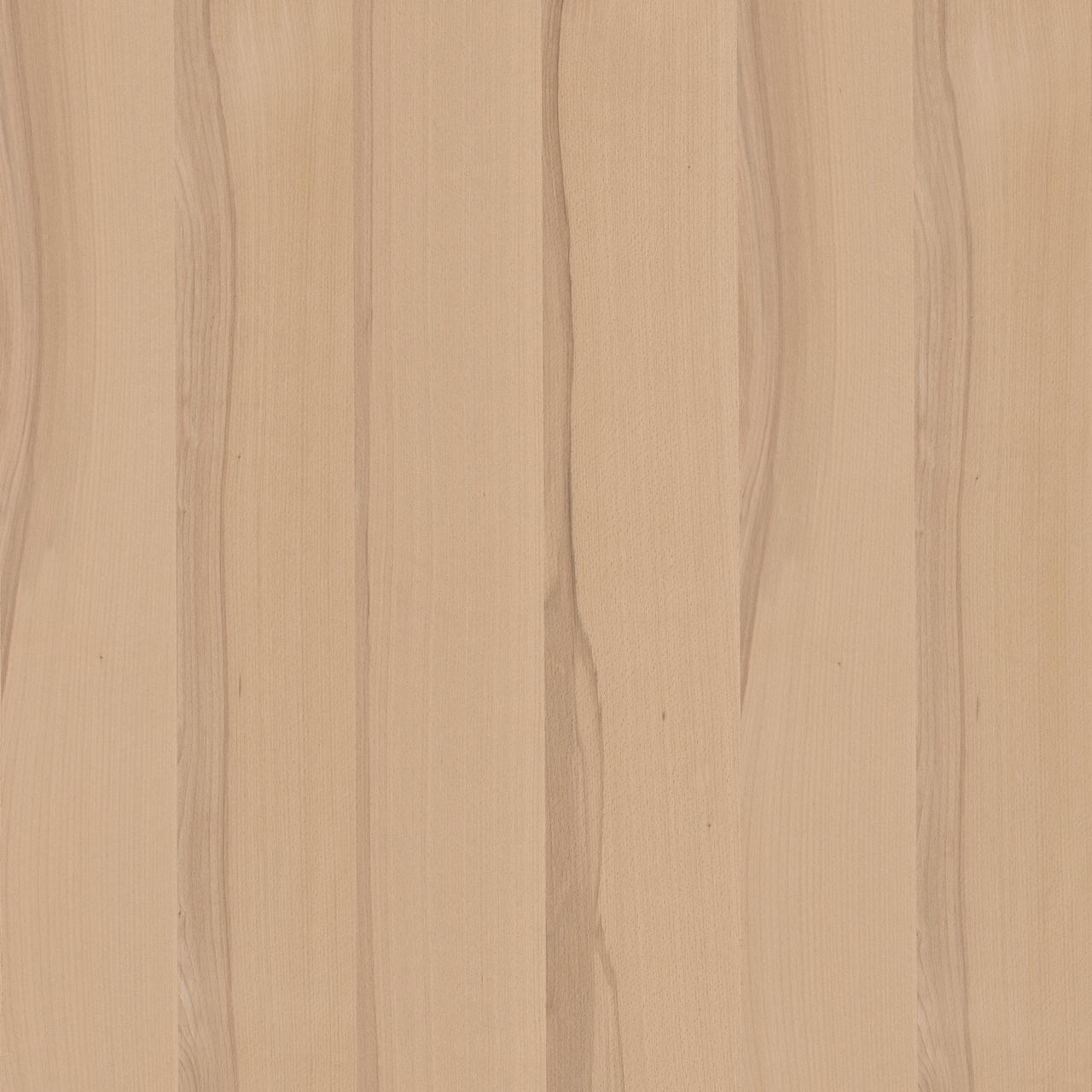 Birch Rotary Cut