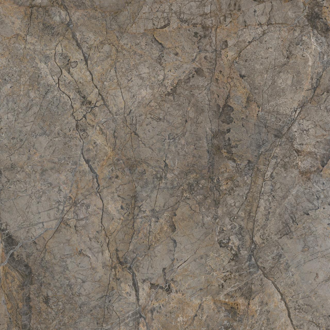 Rainforest Brown