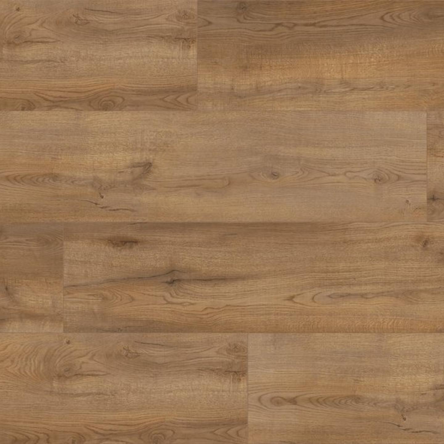 Oak Lorca