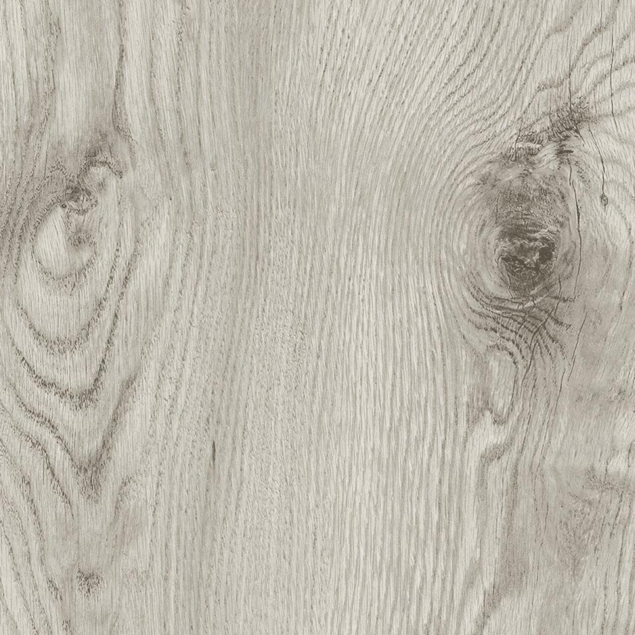 Oak Aragon