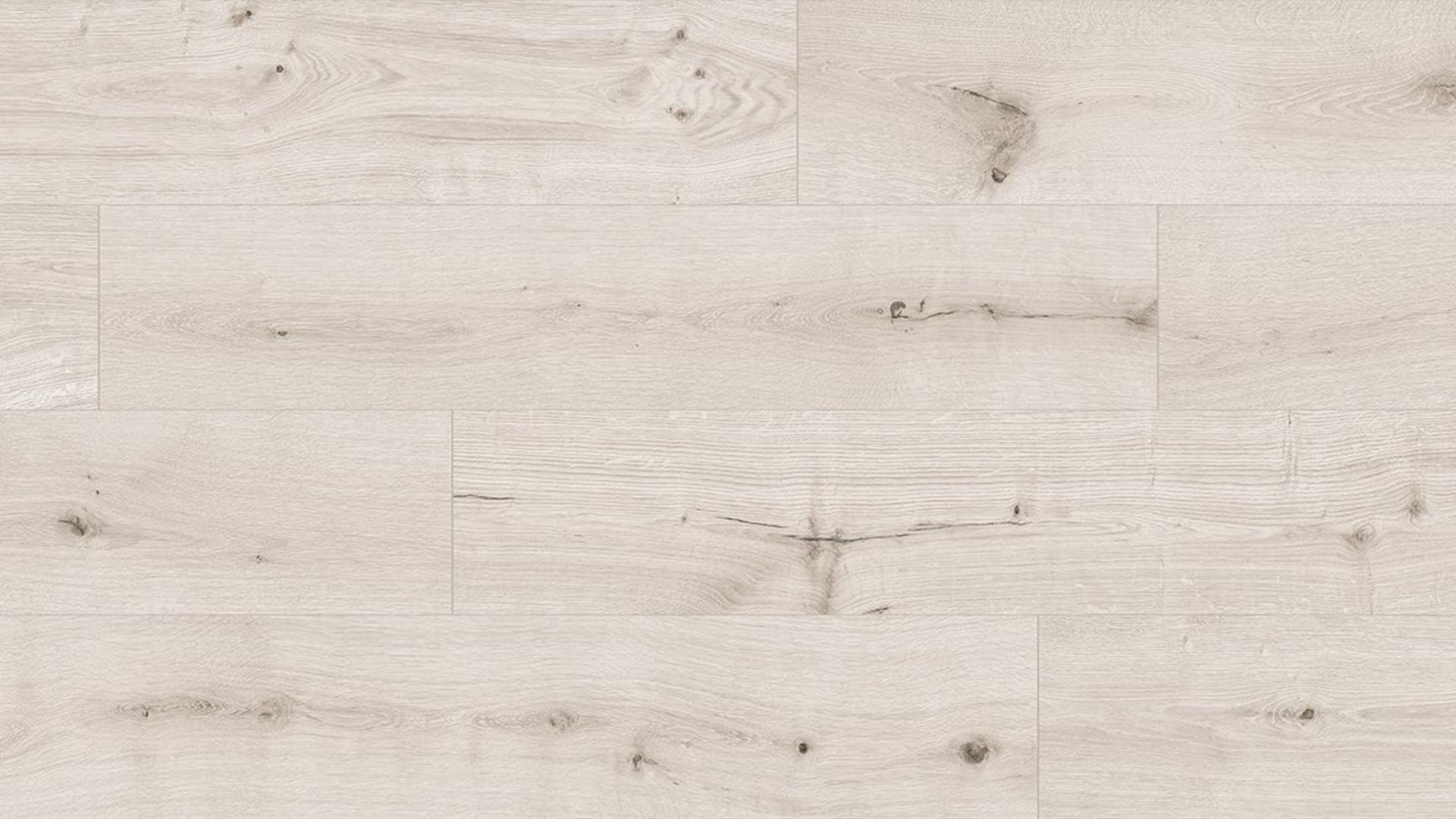 Oak Napoli