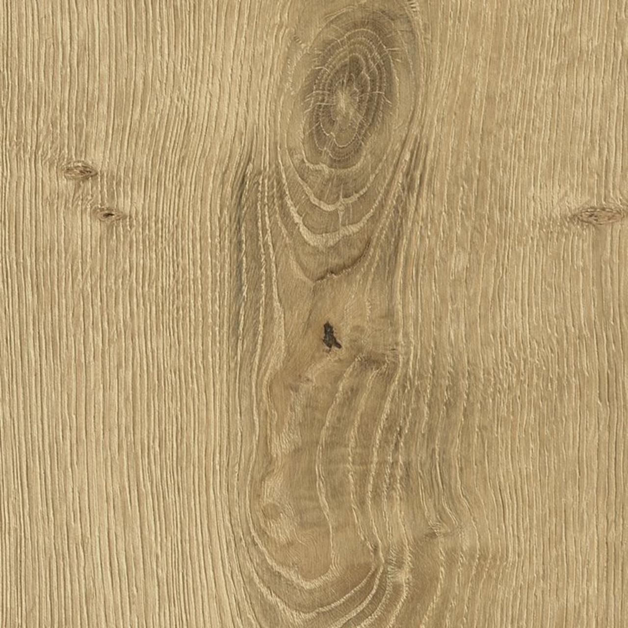 Oak Pisa