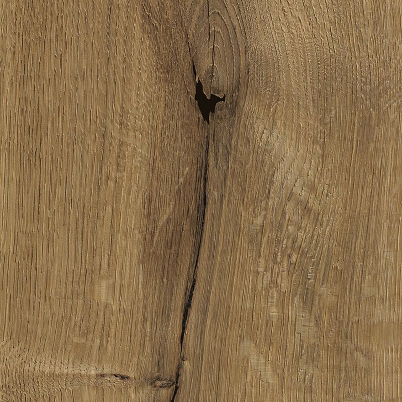 Oak Livorno