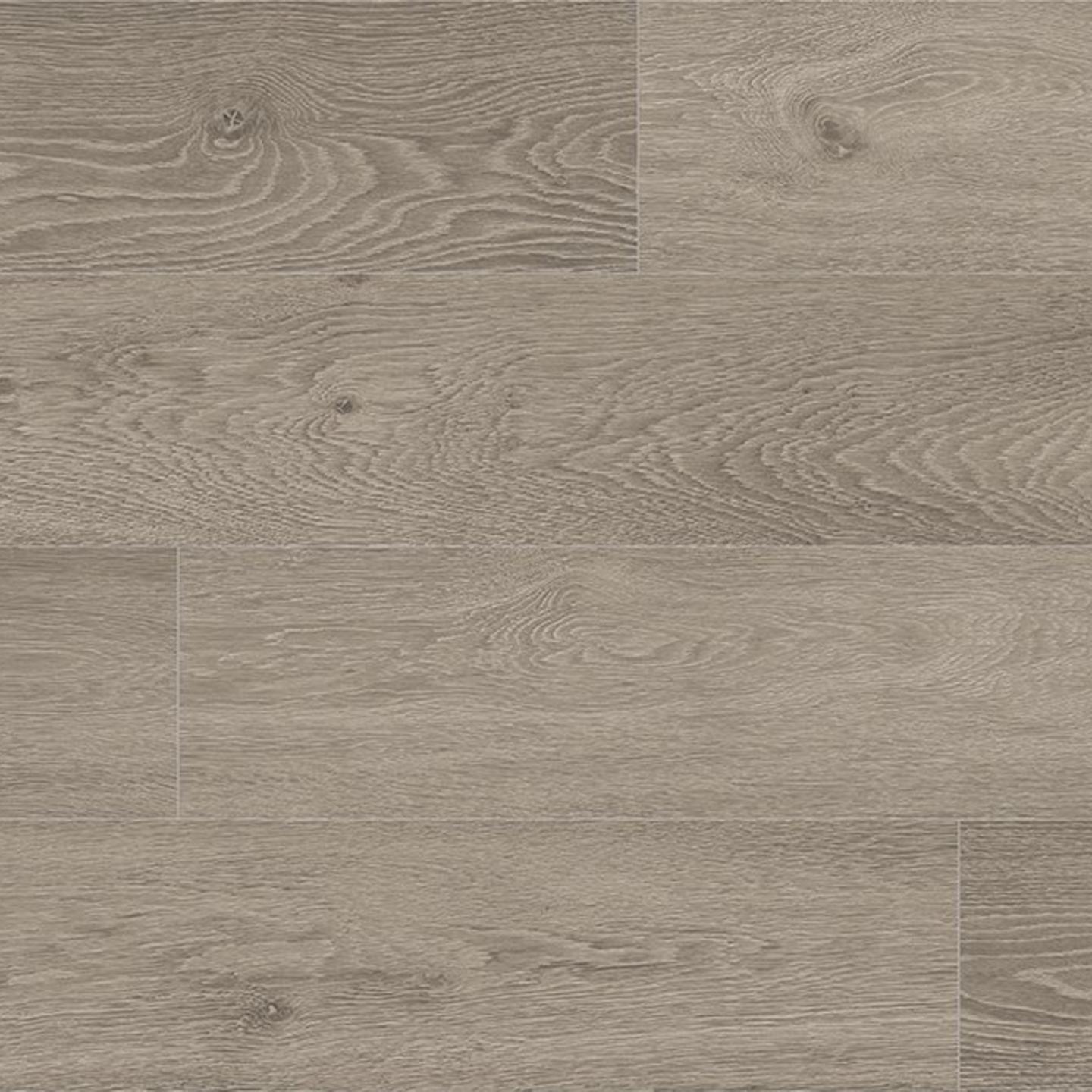 Oak Taranto