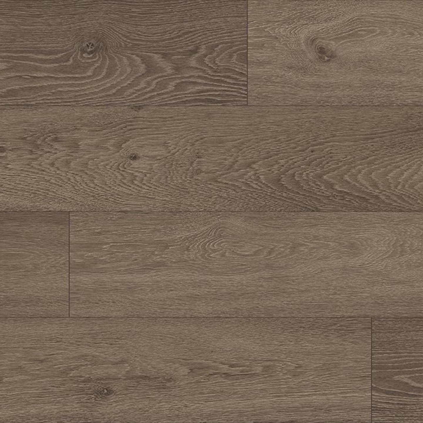 Oak Olbia