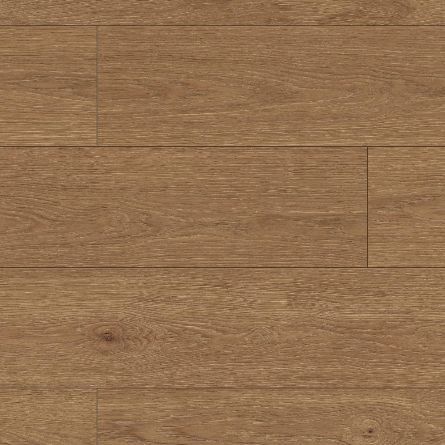 Oak Paros