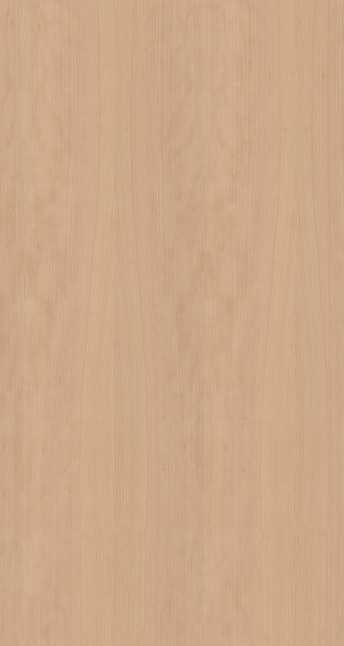 American Cherry