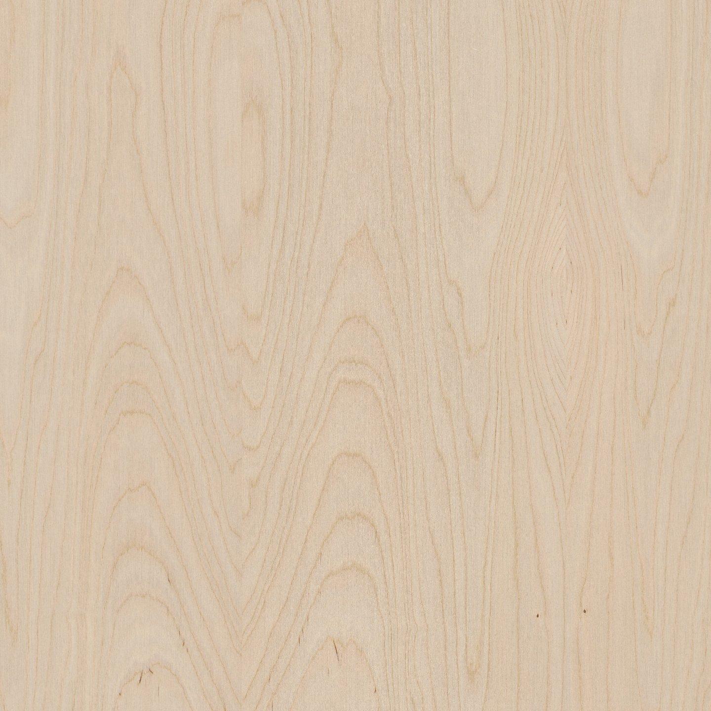 Birch Rotary Cut