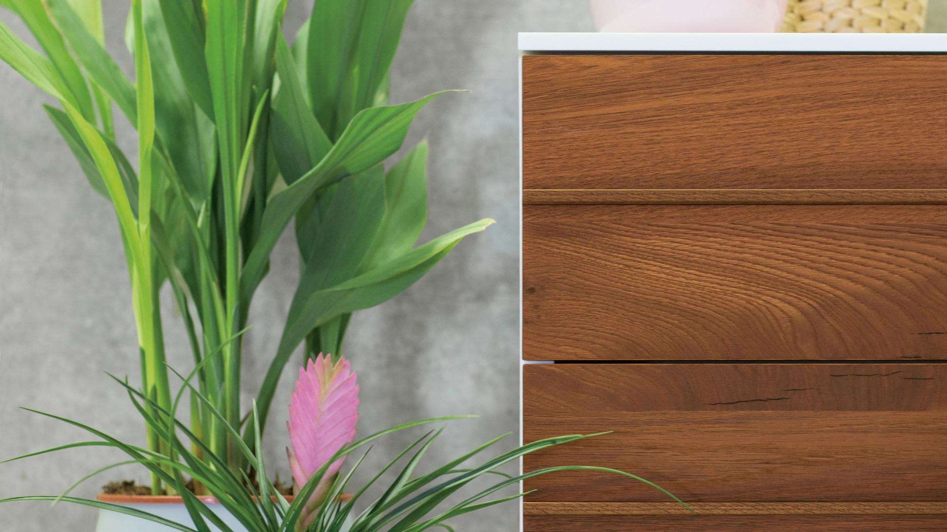 Oak Antique