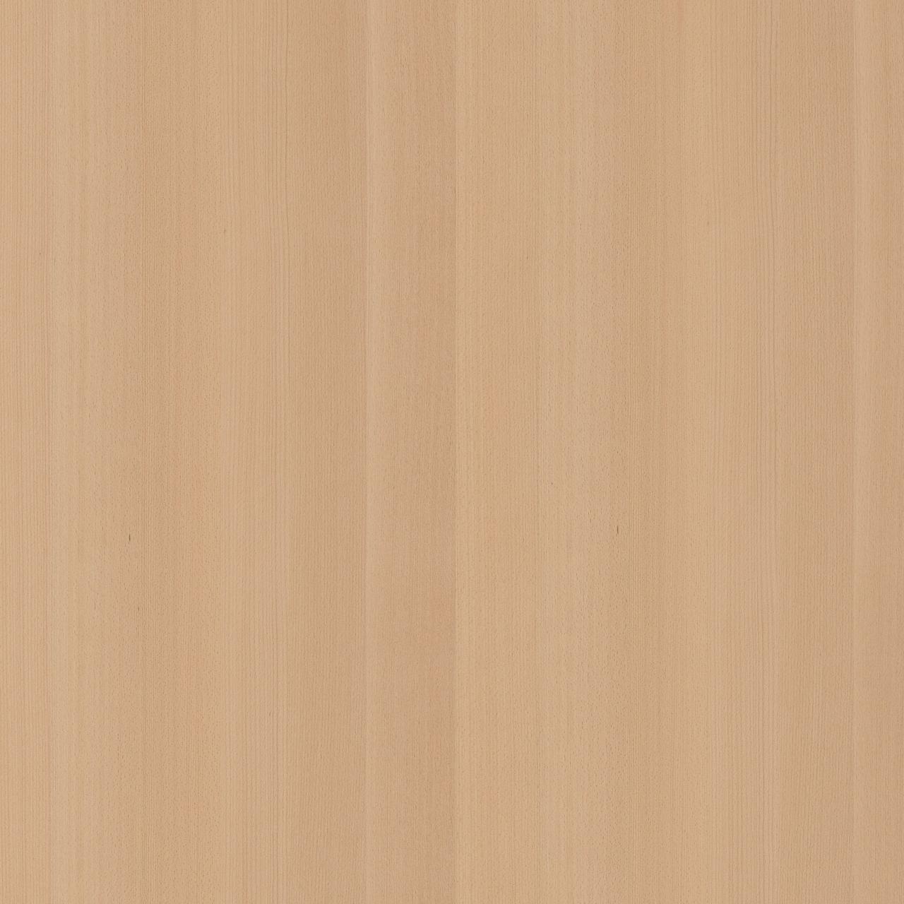 Steamed Beech