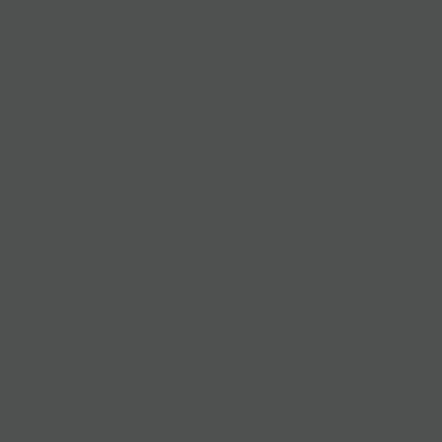 2166 OM Basalt